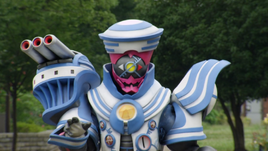 Cruiser Profile