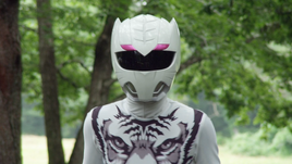 Zyuoh Tiger Profile