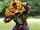 Chickedoom