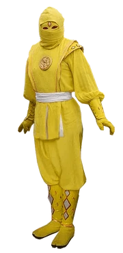 Mmpr-yellowninja2