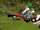 Pirate Guns