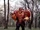Abstrength
