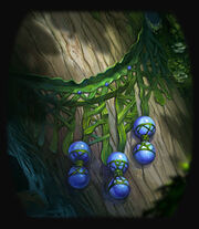 Swamptouch Amulet.jpg