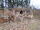 DSCN0048.JPG