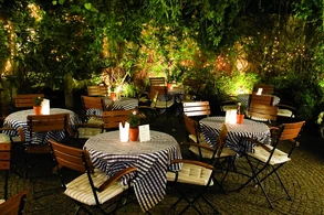 Coco1.jpg (145 KB) Ogródek Cocorico