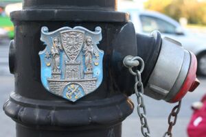 Hydrant with the coat of arms of Poznań.jpg
