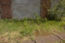 Kobylepole Wąskotorowe parowozownia 03.jpg (1,02 MB)