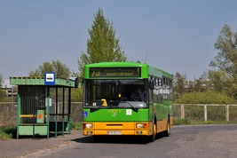 Linia autobusowa nr 173