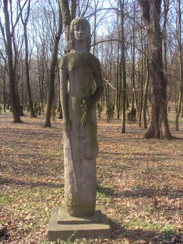 Skrzypaczka