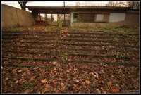 IMG 6111.jpg (620 KB)