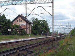 Wola1