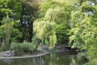 Park-wilsona-6.jpg (701 KB)