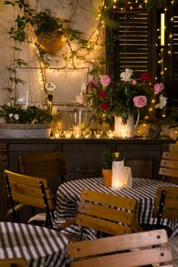 Coco2.jpg (79 KB) Ogródek Cocorico