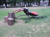 Park Jana Henryka Dąbrowskiego - jelonek rogacz