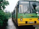 Linia autobusowa P