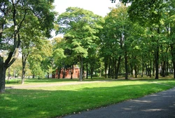 Park Gustawa Manitiusa