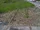 IMG 20170507 145500.jpg