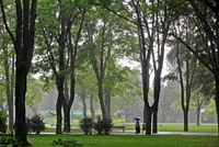 Park Manitiusa.jpg (91 KB)