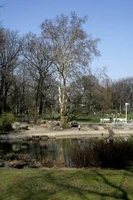Park Wilsona.jpg (51 KB)