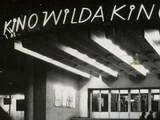 Kino Wilda