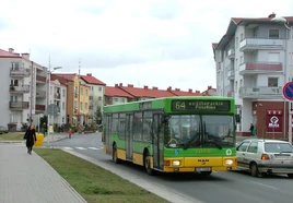 Linia autobusowa nr 164