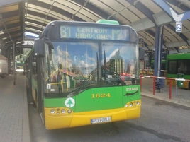 Linia autobusowa nr 181