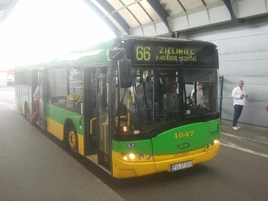 Linia autobusowa nr 166