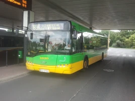 Linia autobusowa nr 183