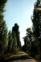 IMG 9907.jpg (334 KB)