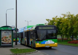 Linia autobusowa nr 174