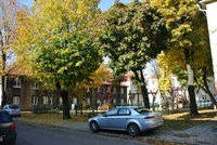 Kolonia robotnicza na Górczynie