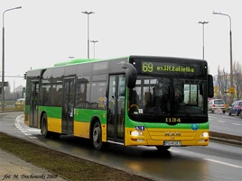 Linia autobusowa nr 169