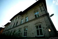 IMG 9873x.jpg (228 KB)