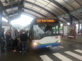 Linia autobusowa nr 501