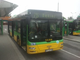 Linia autobusowa nr 175