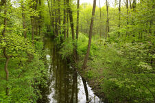 Cybina 2.jpg (734 KB)