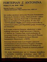 Muzeum Instrumentów Muzycznych - Salonik Chopina