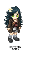 DCUP Brittany.png