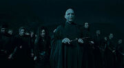 Voldemort and his Death Eaters