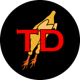 TD patch