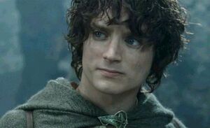 "Mary Sue?" muttered Frodo