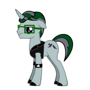 Nume pony