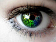 Rainbow eye