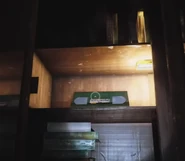 Samuel Lee's Last Day seen within Chapter 3: Deep Sleep.