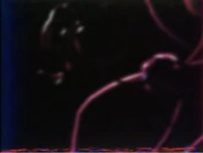 Mommy is staring at the camera again.