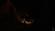 A large boulder/rock fell off and landed on him.