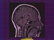 "This advanced memory and cognitive recognition test is designed to simulate several segments of the brain, allowing us to see how quickly and efficiently your brain works."
