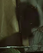 Experiment 1202(presumably)