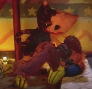 Kissy Missy resting inside Safe Haven.