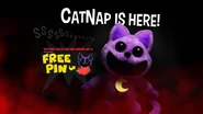 Promotion art for the CatNap plush.